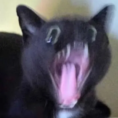 @_doomkitty_