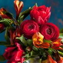 @rameshperala