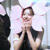 iwill_sakura
