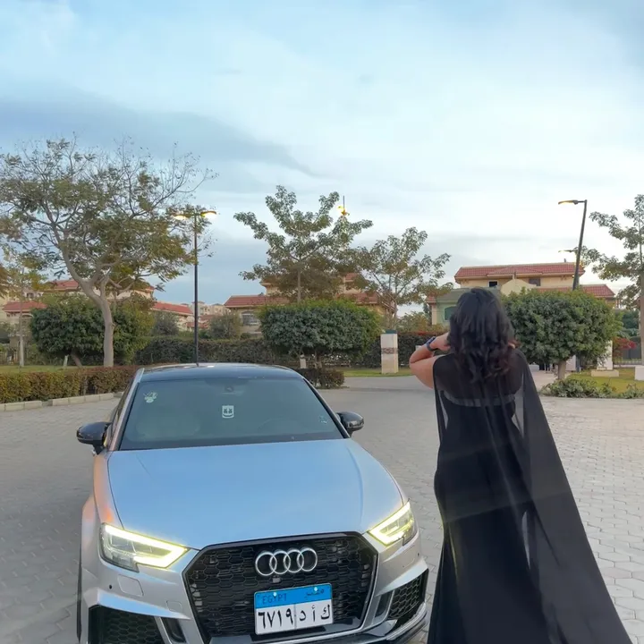 @haneenessam_