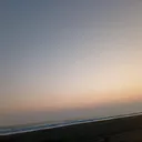 @dan797767