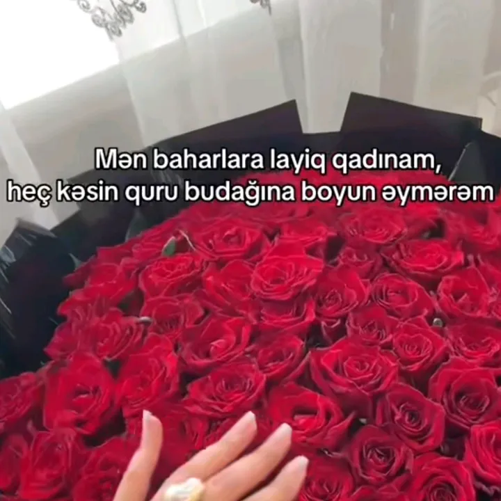 _mirzoyeva_