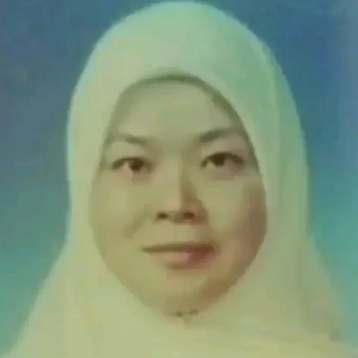 nuraliahlim73