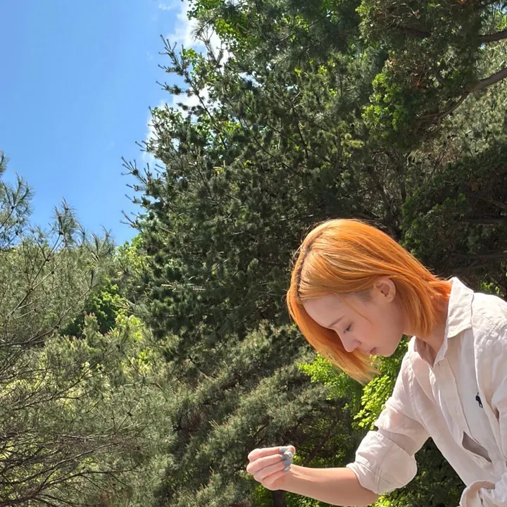 @reijrvs_