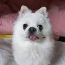 @bsjsjymajiv
