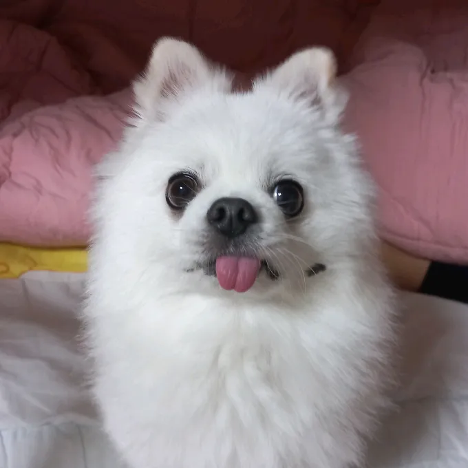 bsjsjymajiv