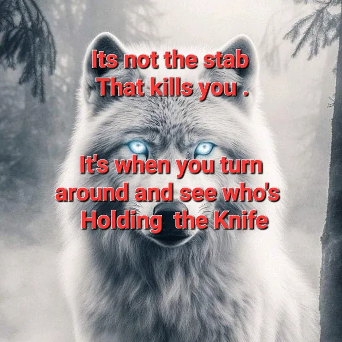 lone_wolf_8886