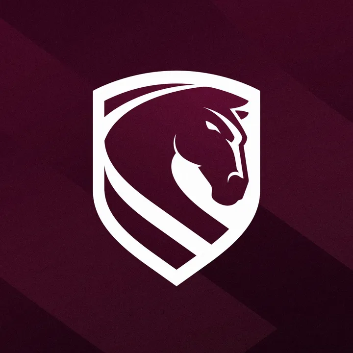 brisbanebroncos