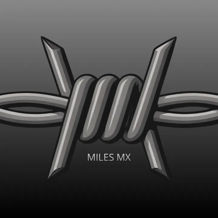rankmx.co