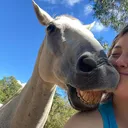 @hers9477