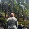 wildboreal