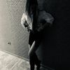 ulyansezzz