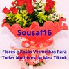 sousaf16