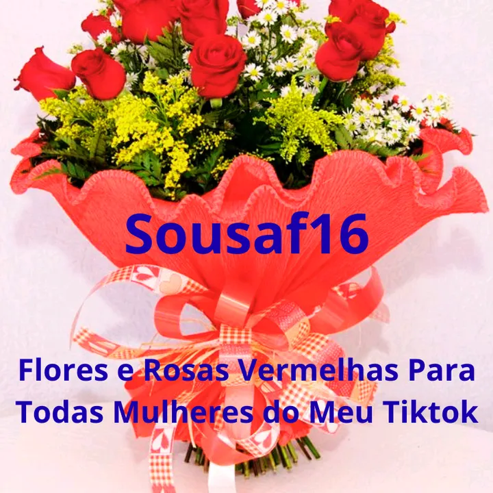 sousaf16