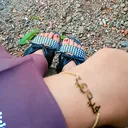 @fiihasanah