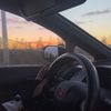 _megann2085