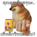 @yuatisss