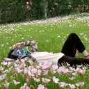 @zinmg2009