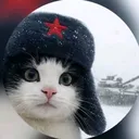 @limonkin_o