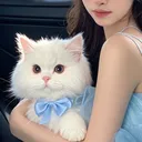 @mimilav235