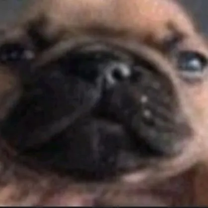 bobinskkii