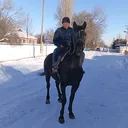 @adiletkarypov92