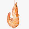 doomedshrimps