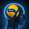 slvolleyball2