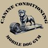 canine.conditioni
