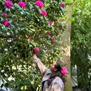 @aayushishewa0
