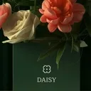 @daisyflowers_28