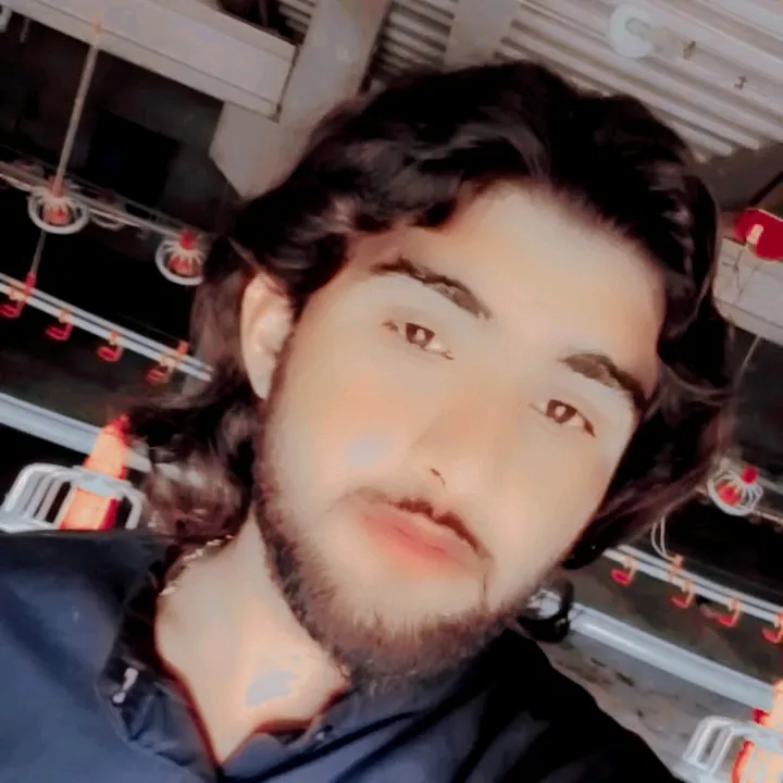 @malikmaqsood940