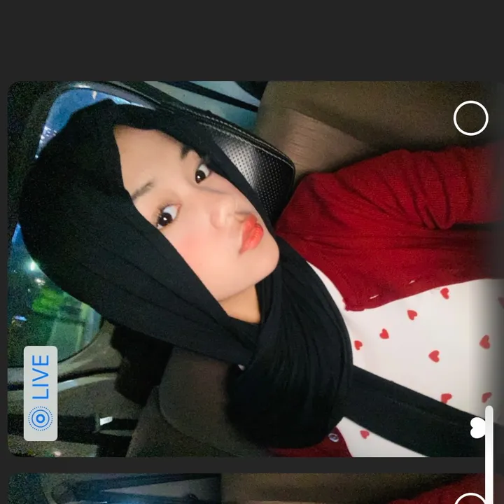 @f4irydimpese