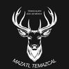 mazatl.temazcal