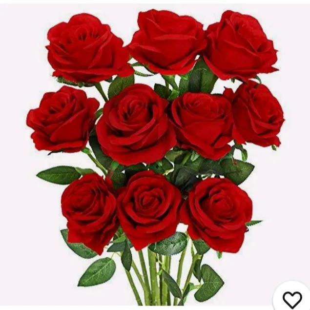 @shirajsrilanka