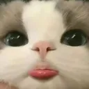 @valenvalen.1301