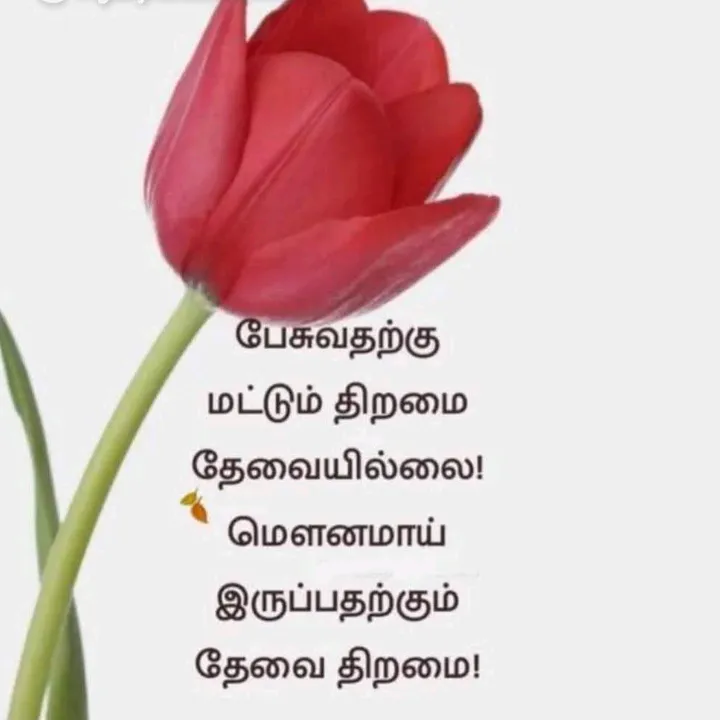 mohammed.ismail303