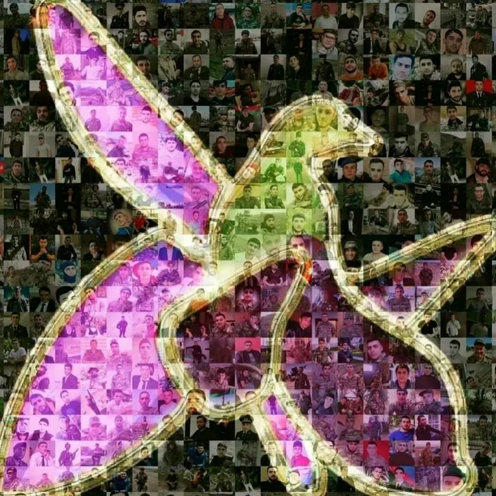 lotfruit
