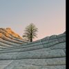 jot_singh_13