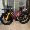 the_stolen_pinarello