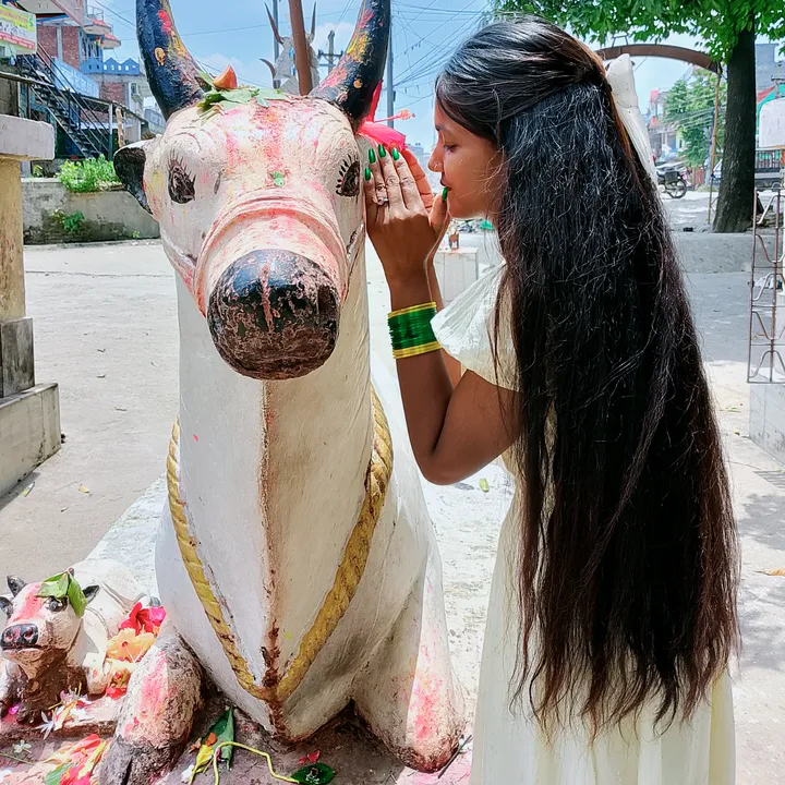 priyankasing520