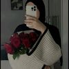 alaanashmi6