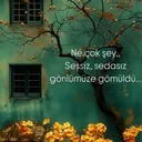 @hayalbank