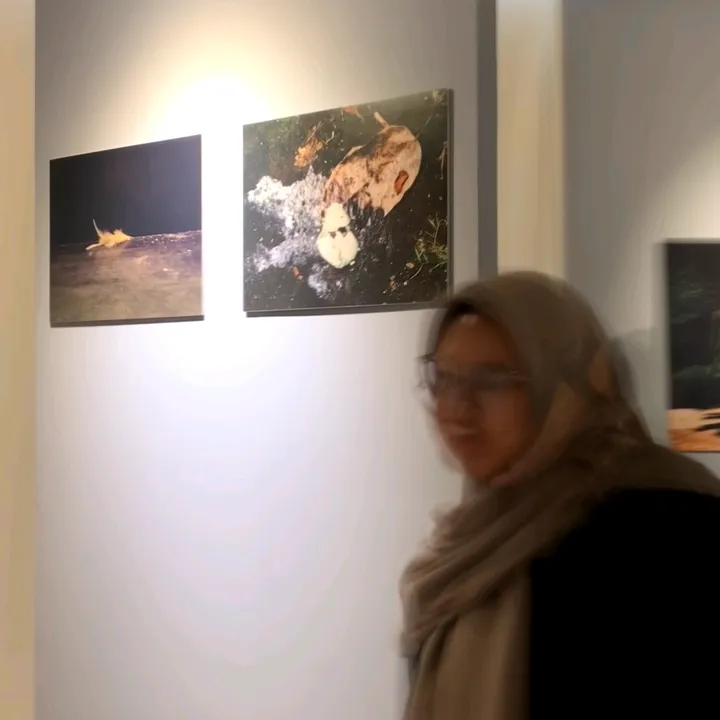 @auliamutiaraaaa