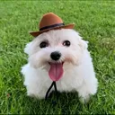@cuberssss94