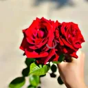 @pakhki7