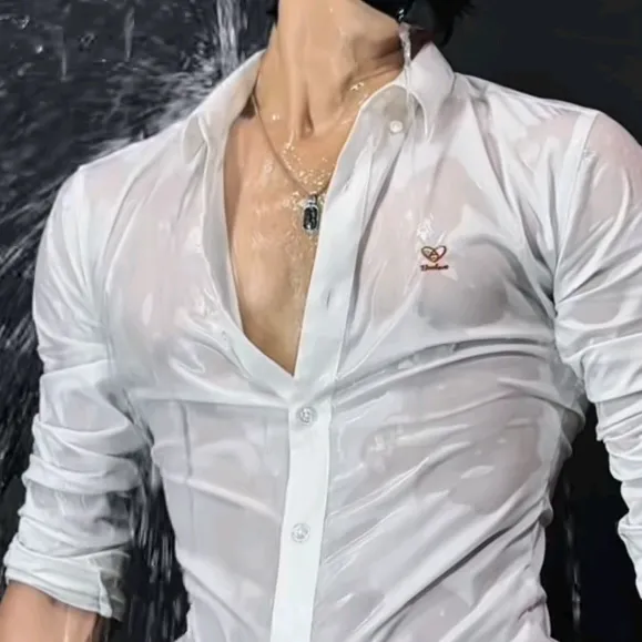 fujihoyar843