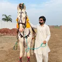 @lord.gujjar