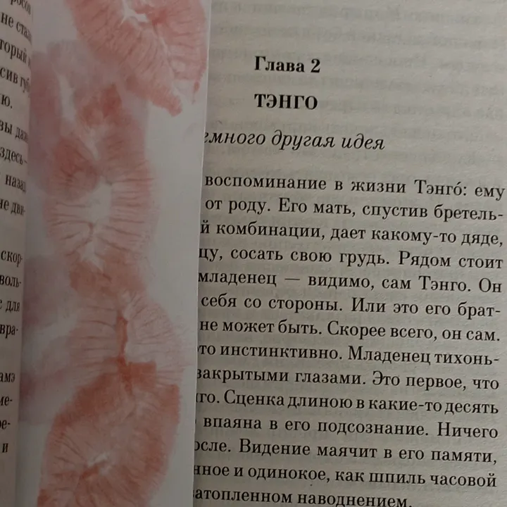 napipapi_book
