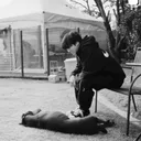 @pecokook